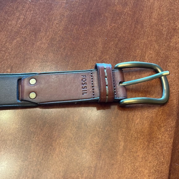 Fossil Belt - Picture 2 of 5